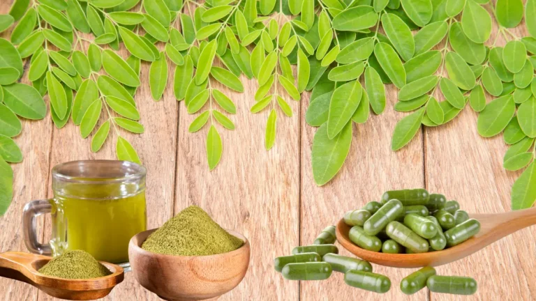 moringa