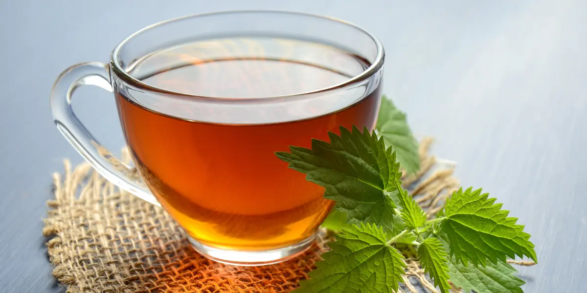 Detox Tea 5 Powerful Options to Cleanse Your Body